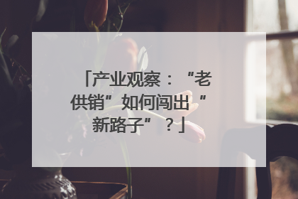 产业观察：“老供销”如何闯出“新路子”？