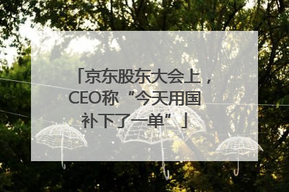 京东股东大会上，CEO称“今天用国补下了一单”