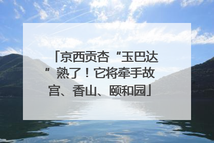 京西贡杏“玉巴达”熟了！它将牵手故宫、香山、颐和园