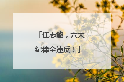 任志能，六大纪律全违反！