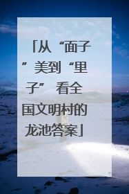 从“面子”美到“里子” 看全国文明村的龙池答案