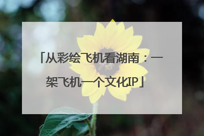 从彩绘飞机看湖南：一架飞机一个文化IP