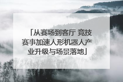 从赛场到客厅 竞技赛事加速人形机器人产业升级与场景落地