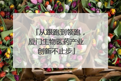 从跟跑到领跑，厦门生物医药产业创新不止步