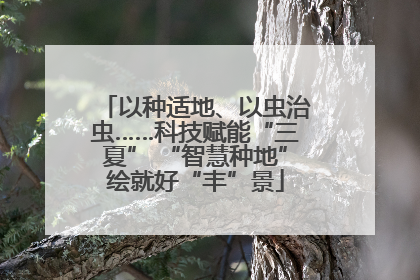 以种适地、以虫治虫……科技赋能“三夏” “智慧种地”绘就好“丰”景