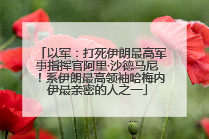 以军：打死伊朗最高军事指挥官阿里·沙德马尼！系伊朗最高领袖哈梅内伊最亲密的人之一