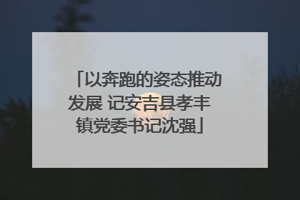 以奔跑的姿态推动发展 记安吉县孝丰镇党委书记沈强