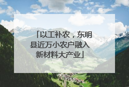以工补农，东明县近万小农户融入新材料大产业