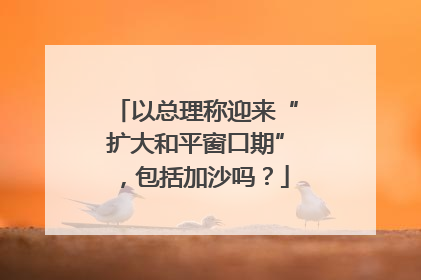 以总理称迎来“扩大和平窗口期”，包括加沙吗？