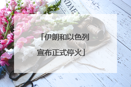 伊朗和以色列宣布正式停火