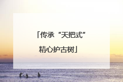 传承“天把式” 精心护古树