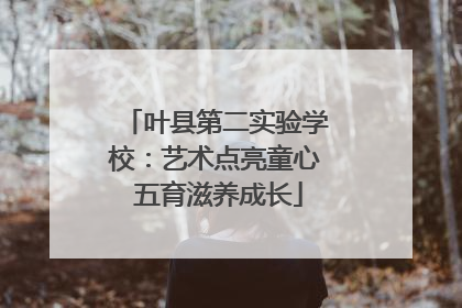 叶县第二实验学校：艺术点亮童心 五育滋养成长