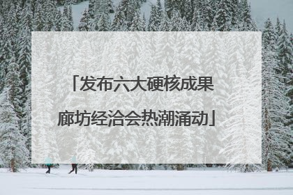 发布六大硬核成果 廊坊经洽会热潮涌动