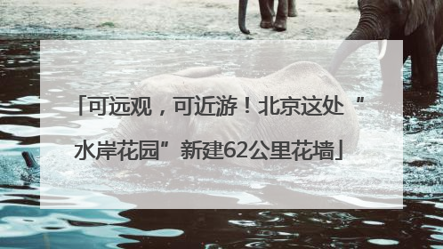 可远观，可近游！北京这处“水岸花园”新建62公里花墙