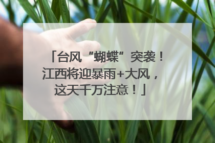 台风“蝴蝶”突袭！江西将迎暴雨+大风，这天千万注意！