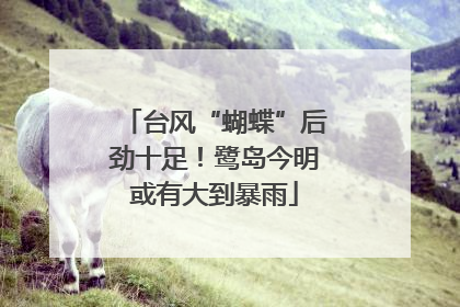 台风“蝴蝶”后劲十足！鹭岛今明或有大到暴雨