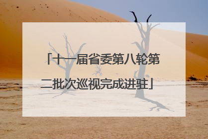 十一届省委第八轮第二批次巡视完成进驻
