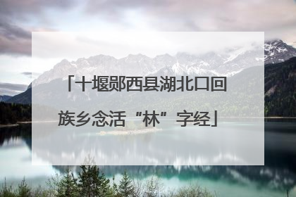 十堰郧西县湖北口回族乡念活“林”字经