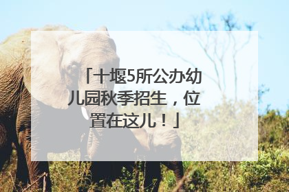 十堰5所公办幼儿园秋季招生，位置在这儿！