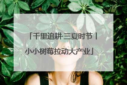 千里追耕·三夏时节丨小小树莓拉动大产业