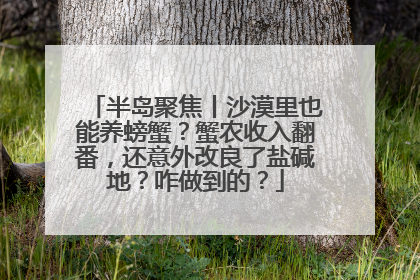 半岛聚焦丨沙漠里也能养螃蟹？蟹农收入翻番，还意外改良了盐碱地？咋做到的？