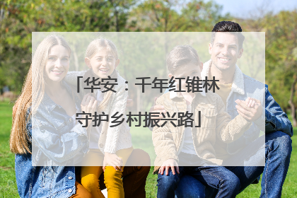 华安：千年红锥林守护乡村振兴路