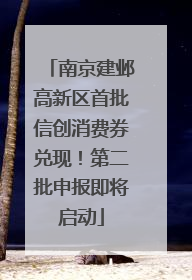 南京建邺高新区首批信创消费券兑现！第二批申报即将启动