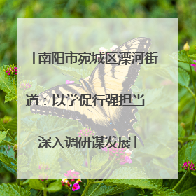 南阳市宛城区溧河街道：以学促行强担当 深入调研谋发展