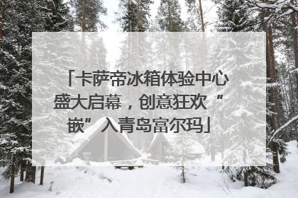 卡萨帝冰箱体验中心盛大启幕，创意狂欢“嵌”入青岛富尔玛