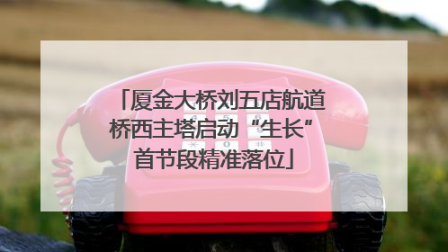 厦金大桥刘五店航道桥西主塔启动“生长” 首节段精准落位