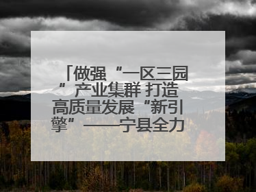 做强“一区三园”产业集群 打造高质量发展“新引擎”——宁县全力推动工业经济提质增效