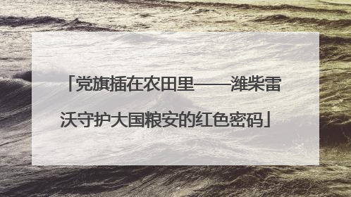 党旗插在农田里——潍柴雷沃守护大国粮安的红色密码