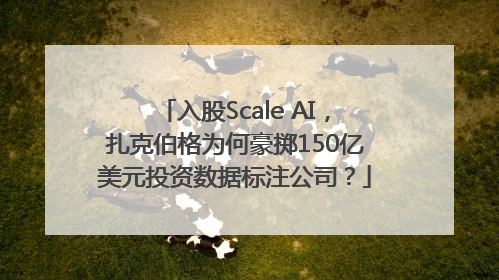 入股Scale AI，扎克伯格为何豪掷150亿美元投资数据标注公司？