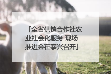 全省供销合作社农业社会化服务 现场推进会在泰兴召开