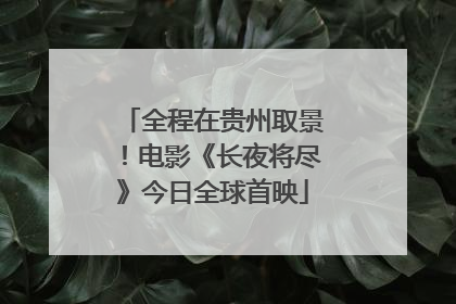 全程在贵州取景！电影《长夜将尽》今日全球首映