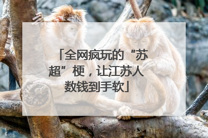 全网疯玩的“苏超”梗，让江苏人数钱到手软