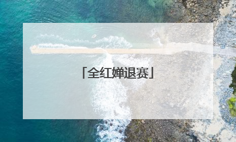 全红婵退赛