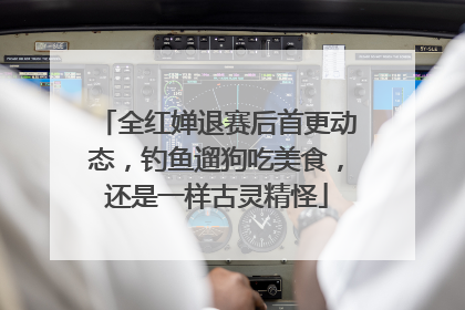 全红婵退赛后首更动态，钓鱼遛狗吃美食，还是一样古灵精怪