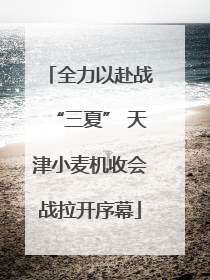全力以赴战“三夏” 天津小麦机收会战拉开序幕
