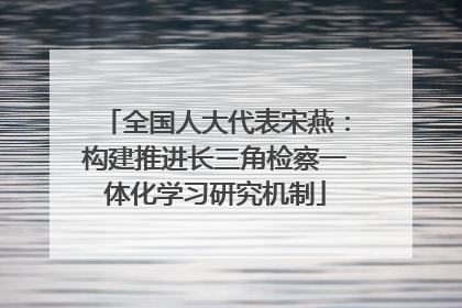 全国人大代表宋燕：构建推进长三角检察一体化学习研究机制