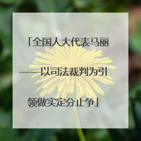 全国人大代表马丽——以司法裁判为引领做实定分止争