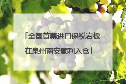 全国首票进口保税岩板在泉州南安顺利入仓