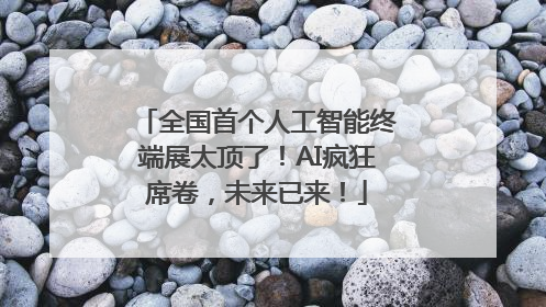 全国首个人工智能终端展太顶了！AI疯狂席卷，未来已来！