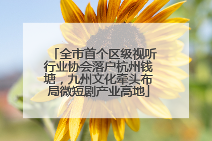 全市首个区级视听行业协会落户杭州钱塘，九州文化牵头布局微短剧产业高地