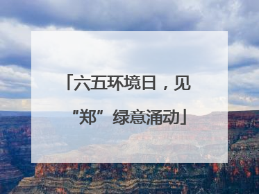 六五环境日，见“郑”绿意涌动