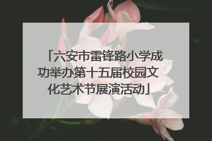 六安市雷锋路小学成功举办第十五届校园文化艺术节展演活动