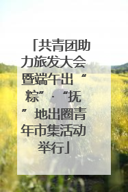 共青团助力旅发大会暨端午出“粽”·“抚”地出圈青年市集活动举行