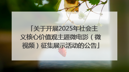 关于开展2025年社会主义核心价值观主题微电影（微视频）征集展示活动的公告
