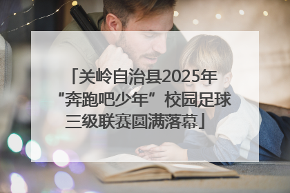 关岭自治县2025年“奔跑吧少年”校园足球三级联赛圆满落幕