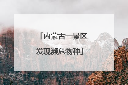 内蒙古一景区发现濒危物种